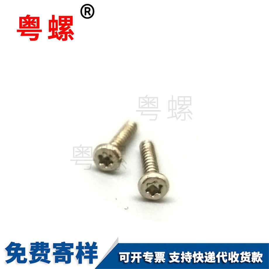 加工非標電子小螺絲